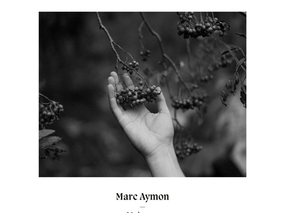 Marc Aymon L'Oiseau Single pochette